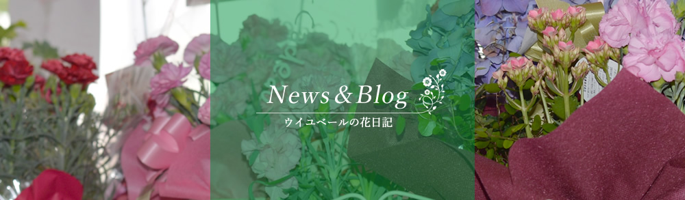 News&Blog